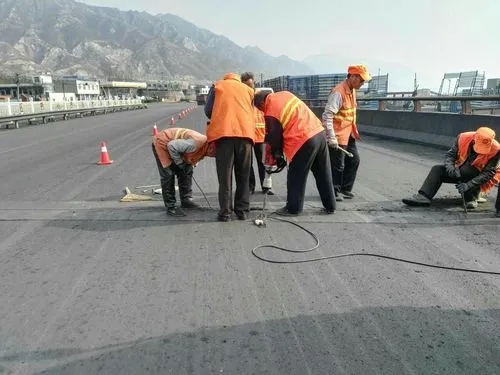 井研道路桥梁病害治理